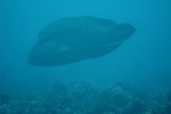 IMG_1760-.Medium