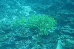 IMG_1761-.Medium