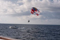 IMG_1773-.Medium