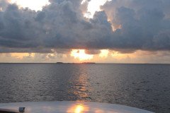 IMG_1775-.Medium