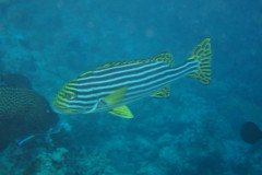 IMG_1780-.Medium