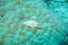 IMG_1801-.Medium