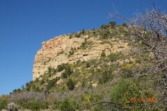 DSC02715-Medium