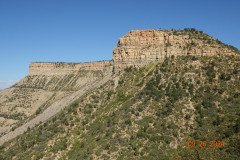 DSC02731-Medium