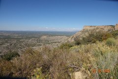 DSC02743-Medium
