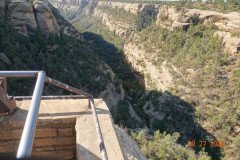 DSC02754-Medium