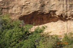 DSC02769-Medium