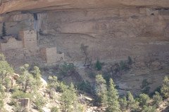 DSC02783-Medium