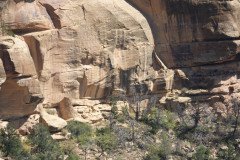 DSC02784-Medium