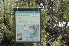 DSC02787-Medium