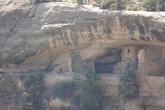 DSC02794-Medium