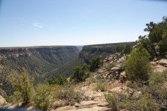 DSC02800-Medium