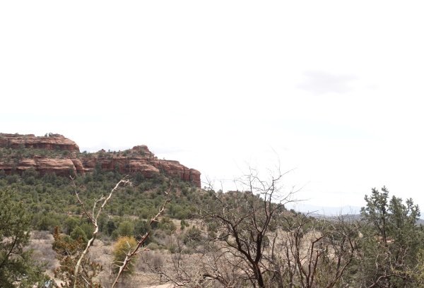 Palatki Heritage Site