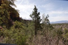DSC03589