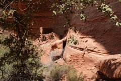 DSC03596