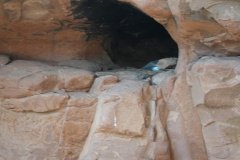 DSC03611