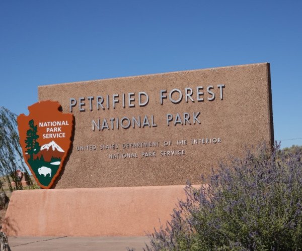 Petrified Forrest 2024