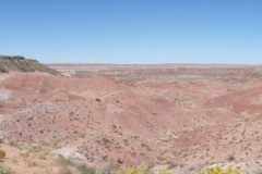 DSC00097-Medium