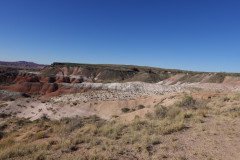 DSC00108-Medium