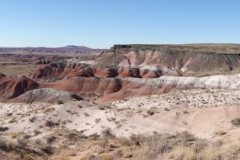 DSC00109-Medium