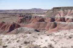 DSC00110-Medium