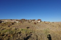 DSC00133-Medium