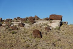 DSC00134-Medium