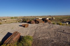 DSC00135-Medium