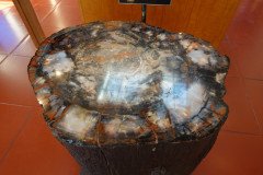 DSC00148-Medium