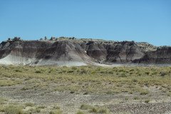 DSC00153-Medium