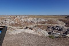 DSC00154-Medium