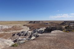 DSC00155-Medium