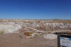 DSC00156-Medium