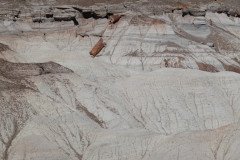 DSC00158-Medium