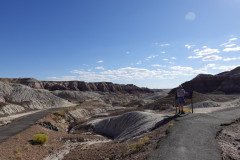 DSC00160-Medium
