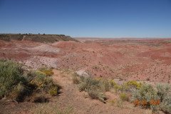 DSC02612-Medium