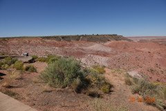 DSC02613-Medium