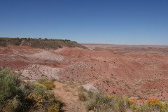 DSC02617-Medium