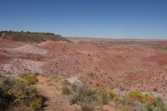 DSC02618-Medium