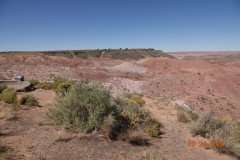 DSC02622-Medium