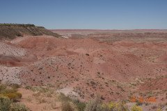 DSC02623-Medium