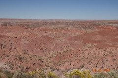 DSC02624-Medium