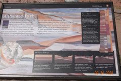 DSC02625-Medium