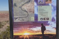 DSC02626-Medium