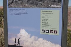 DSC02627-Medium