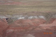 DSC02630-Medium-Medium