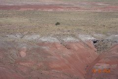 DSC02631-Medium-1
