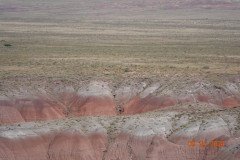 DSC02633-Medium-1