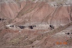 DSC02634-Medium-1