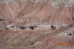 DSC02634-Medium-Medium